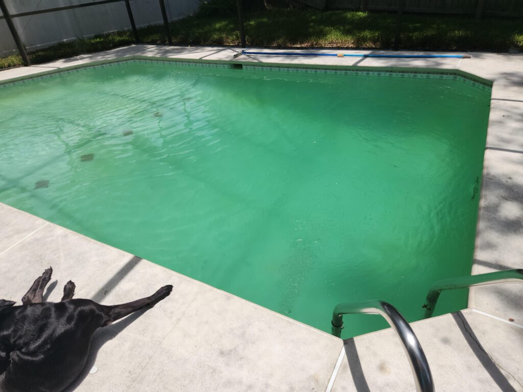 Get Rid of Phosphates in Pool