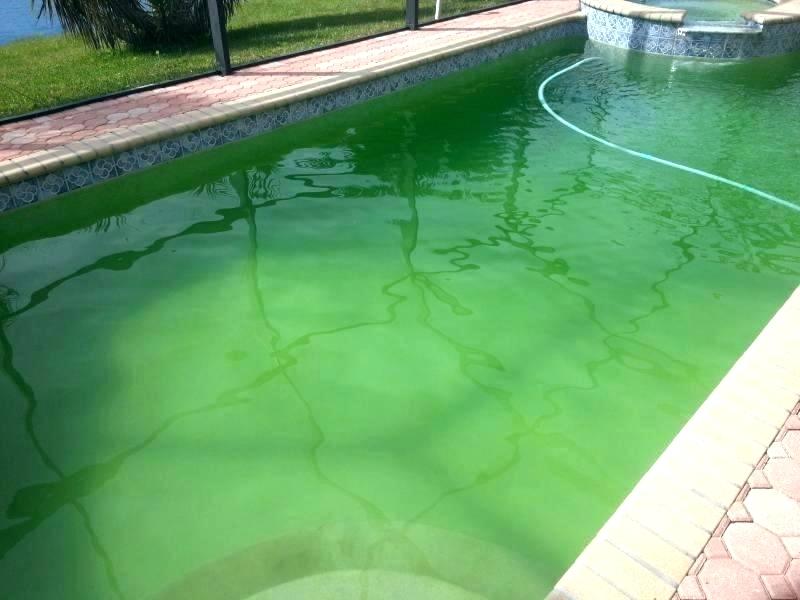 Get Rid of Phosphates in Pool